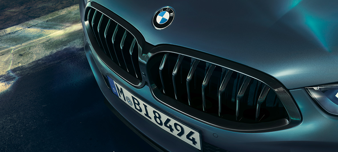 BMW M850i Coupé First Edition, BMW maska Detaljan prikaz BMW maske BMW-a M850i Coupé First Edition