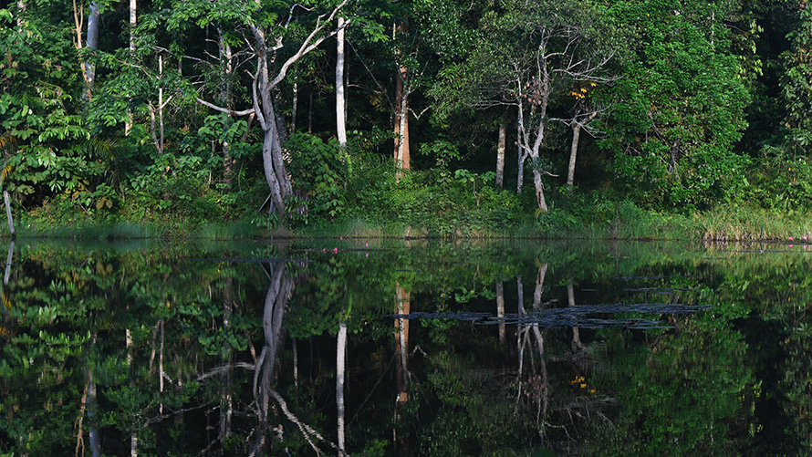 BMW Special Sales Održivost Pregled Izvješće BMW Grupe plava infografika s konceptnim automobilom BMW