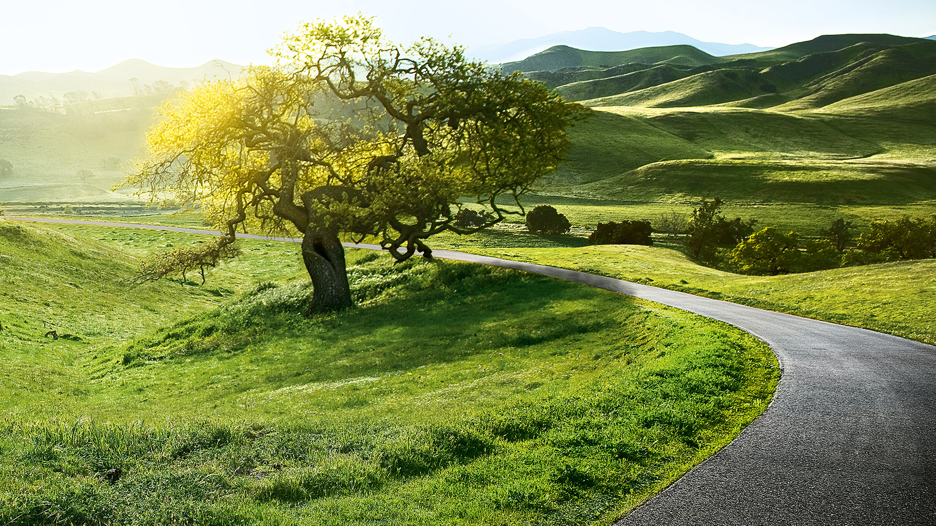 BMW Special Sales Održivost Pregled